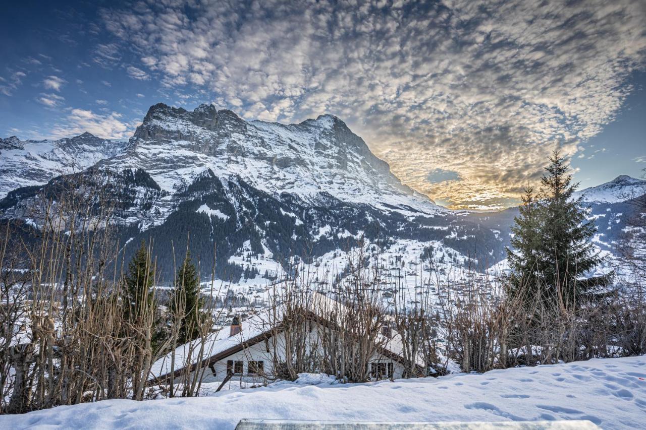 Chalet Weid - Aare Jungfrau Ag Grindelwald Bagian luar foto