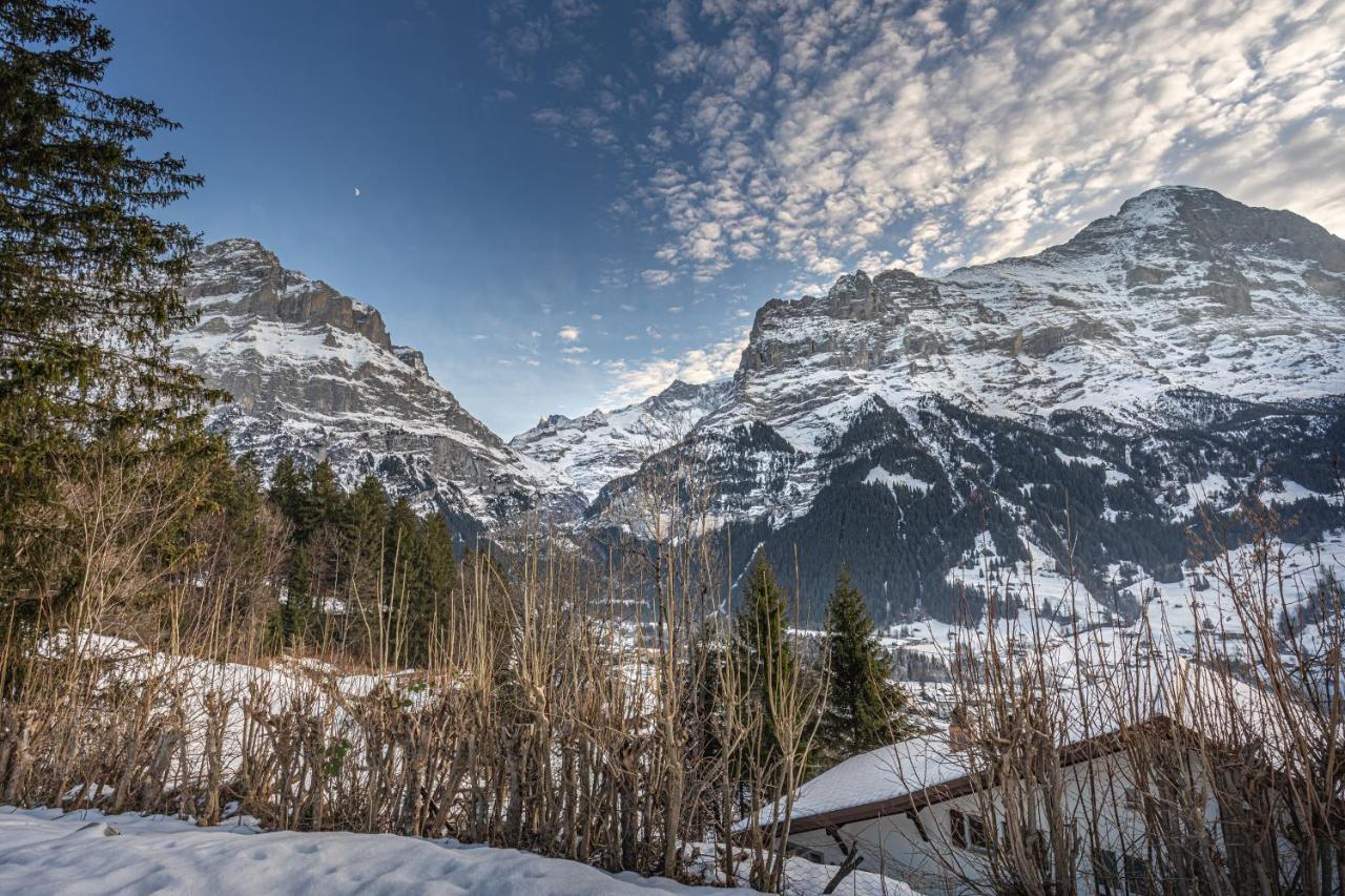 Chalet Weid - Aare Jungfrau Ag Grindelwald Bagian luar foto